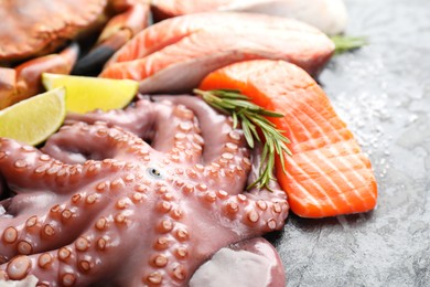 Photo of Many different sea food on grey table, closeup