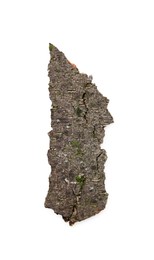 Photo of One piece of tree bark isolated on white, top view