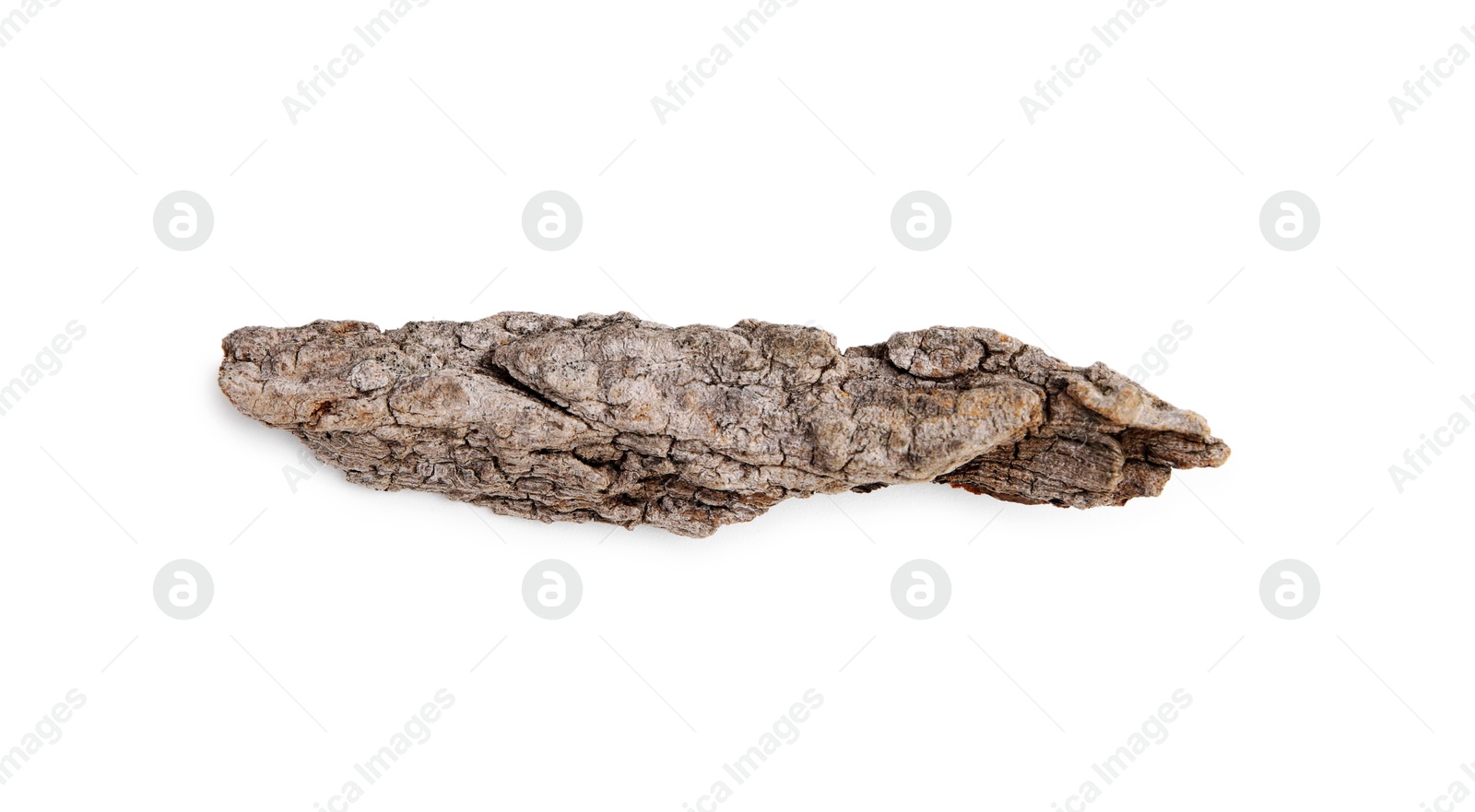 Photo of One piece of tree bark isolated on white, top view