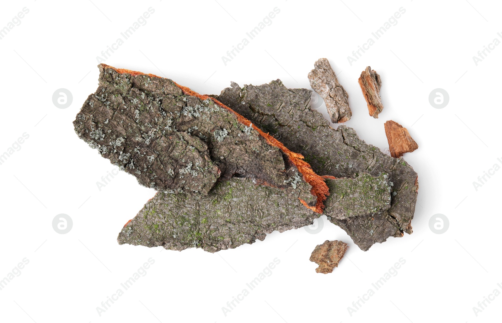 Photo of Pieces of tree bark isolated on white, top view