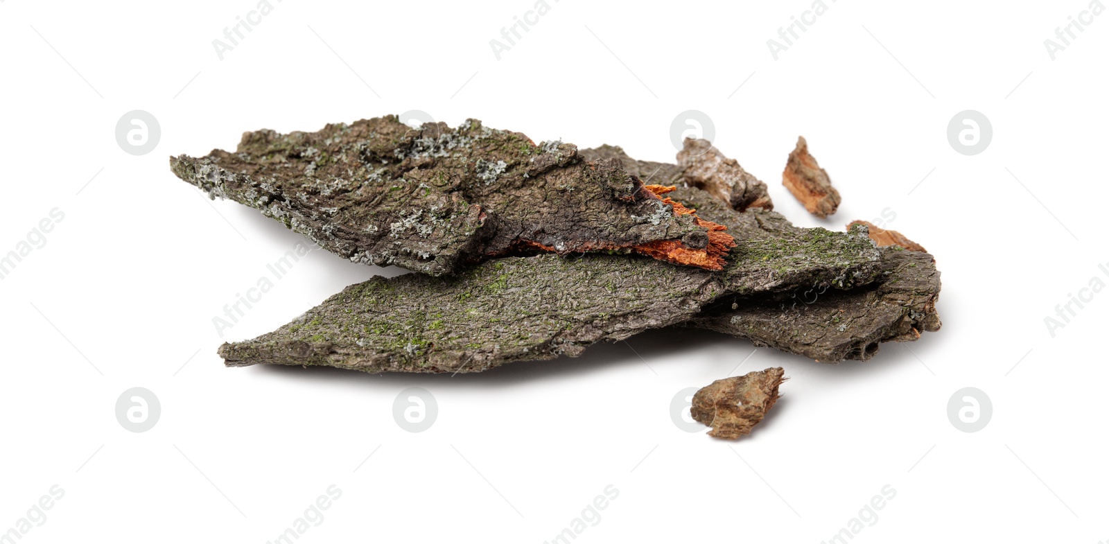 Pieces of tree bark isolated on white Photo of Pieces of tree bark isolated on white