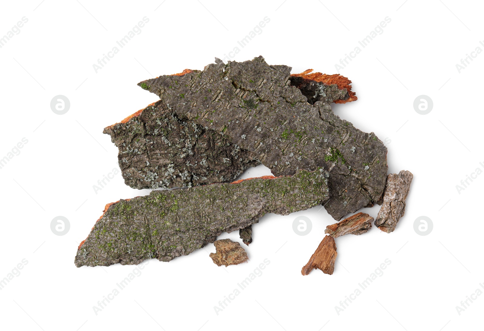 Photo of Pieces of tree bark isolated on white, top view