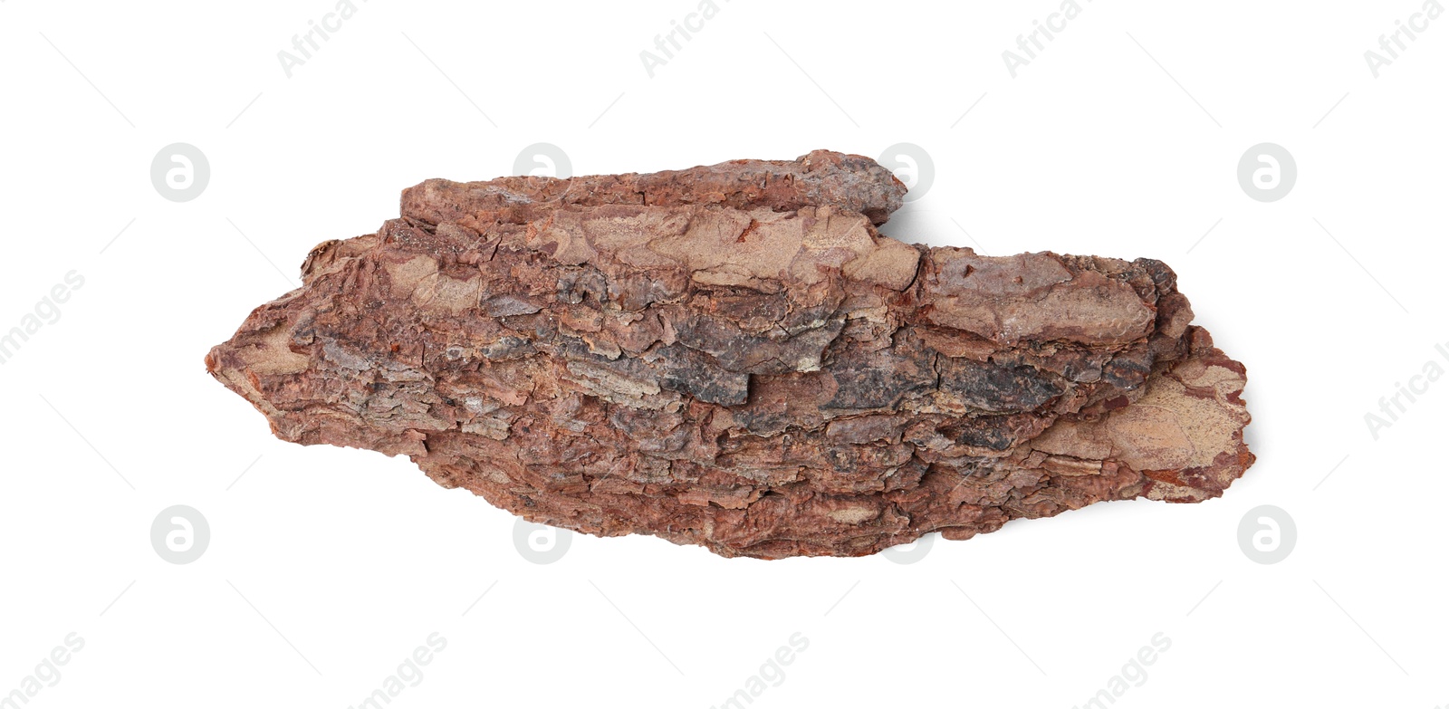 Photo of One piece of tree bark on white background, top view