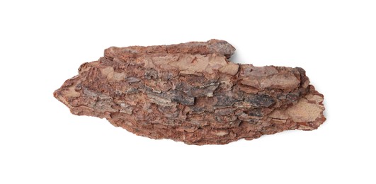 Photo of One piece of tree bark on white background, top view