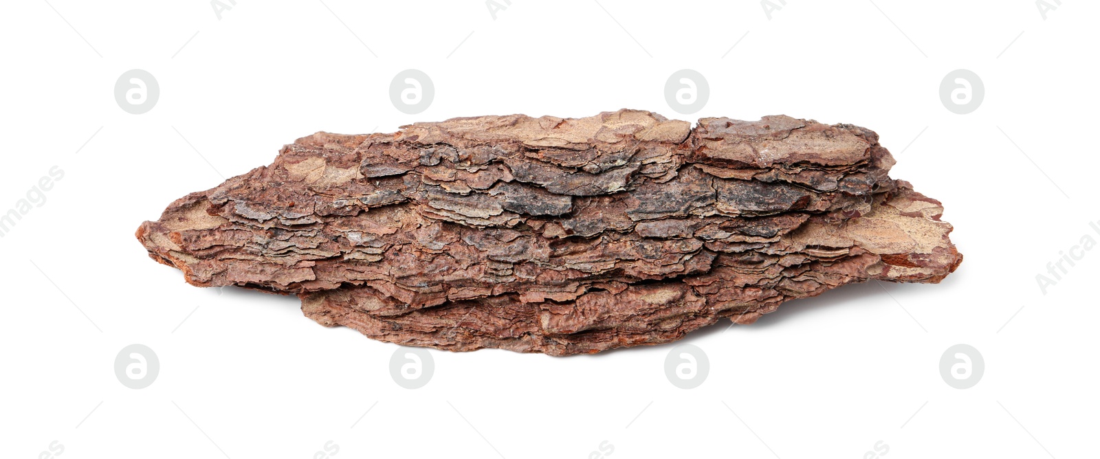 Photo of One piece of tree bark on white background