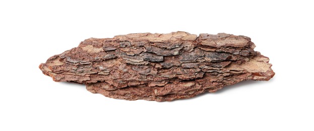 Photo of One piece of tree bark on white background