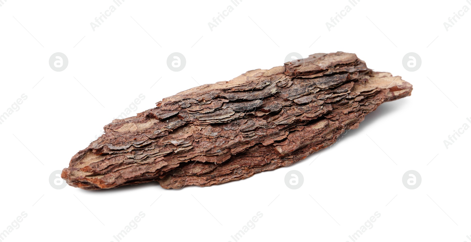 One piece of tree bark on white background Photo of One piece of tree bark on white background
