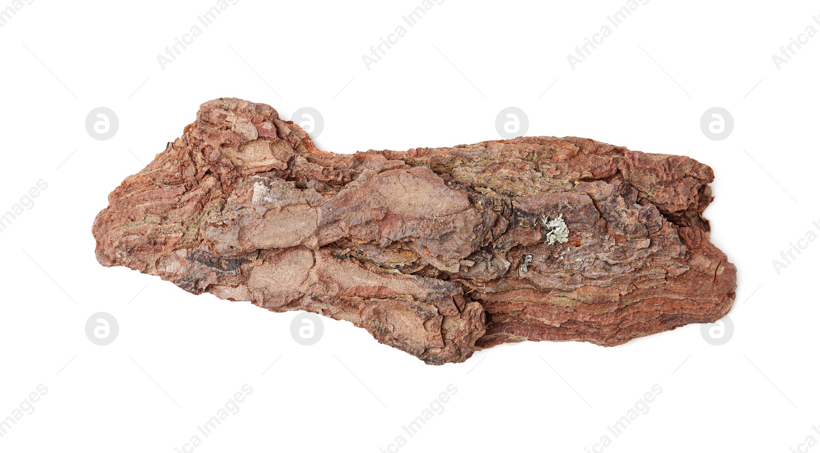 Photo of One piece of tree bark on white background, top view