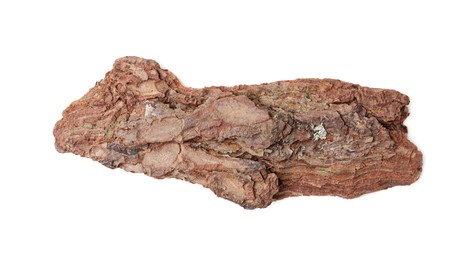 Photo of One piece of tree bark on white background, top view