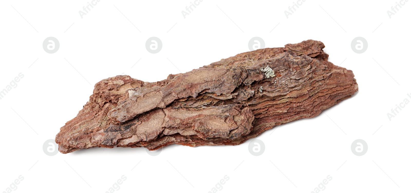 Photo of One piece of tree bark on white background