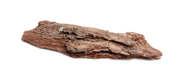 Photo of One piece of tree bark on white background