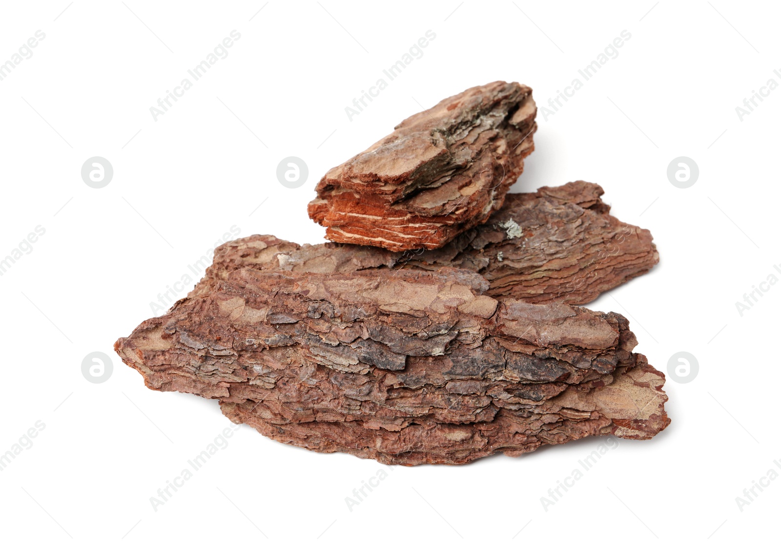 Photo of Pieces of tree bark on white background