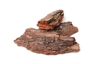 Photo of Pieces of tree bark on white background