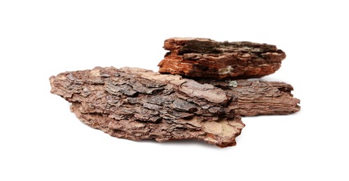 Photo of Pieces of tree bark on white background