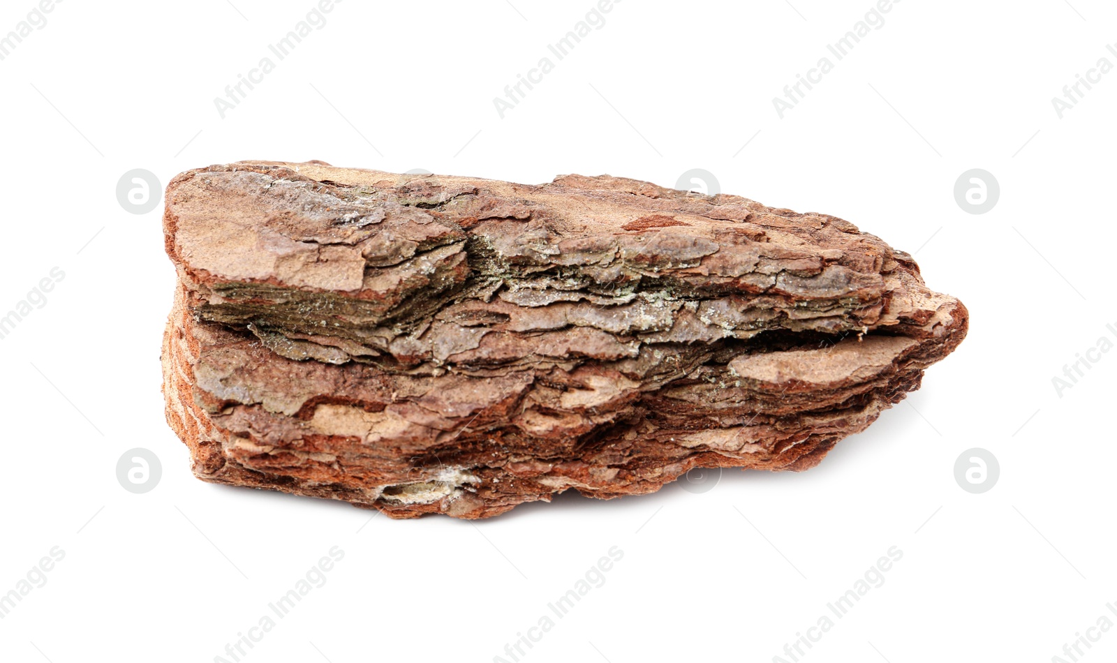 One piece of tree bark on white background Photo of One piece of tree bark on white background