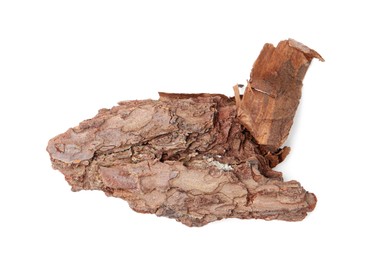 Photo of One piece of tree bark on white background, above view