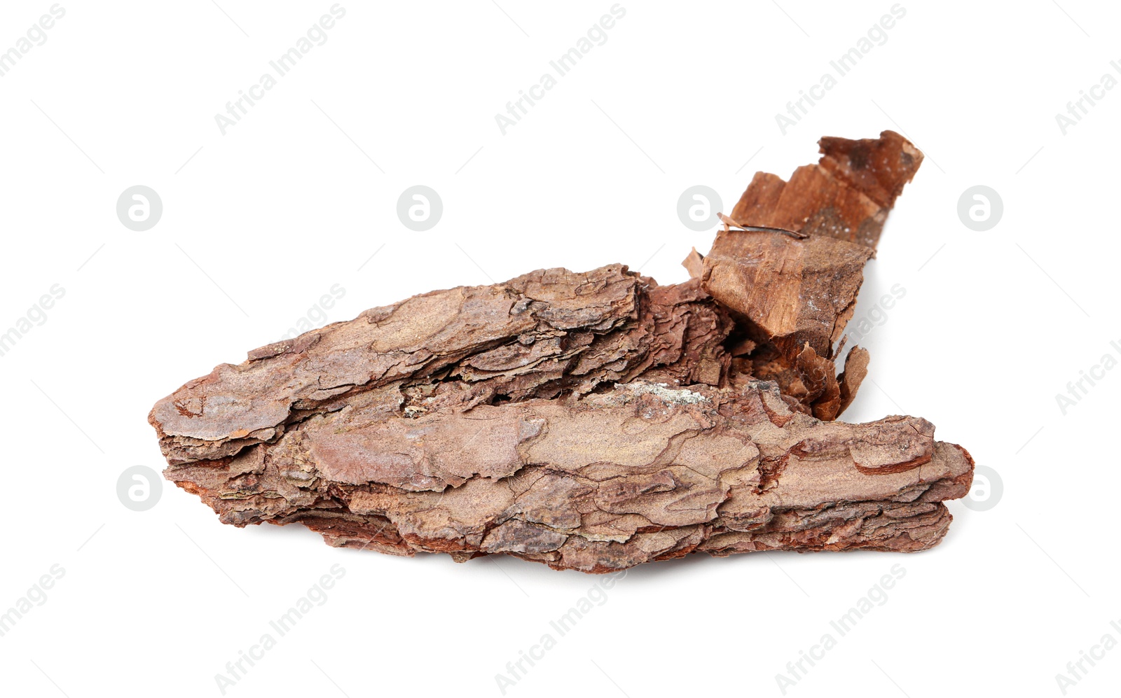 Photo of One piece of tree bark on white background, above view