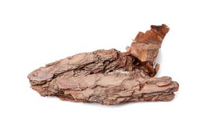 Photo of One piece of tree bark on white background, above view