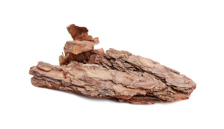 One piece of tree bark on white background