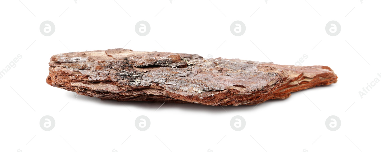 Photo of One piece of tree bark on white background