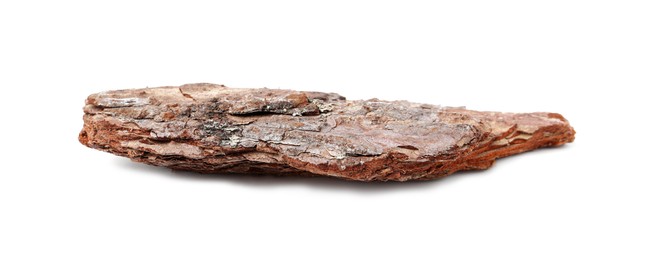 Photo of One piece of tree bark on white background