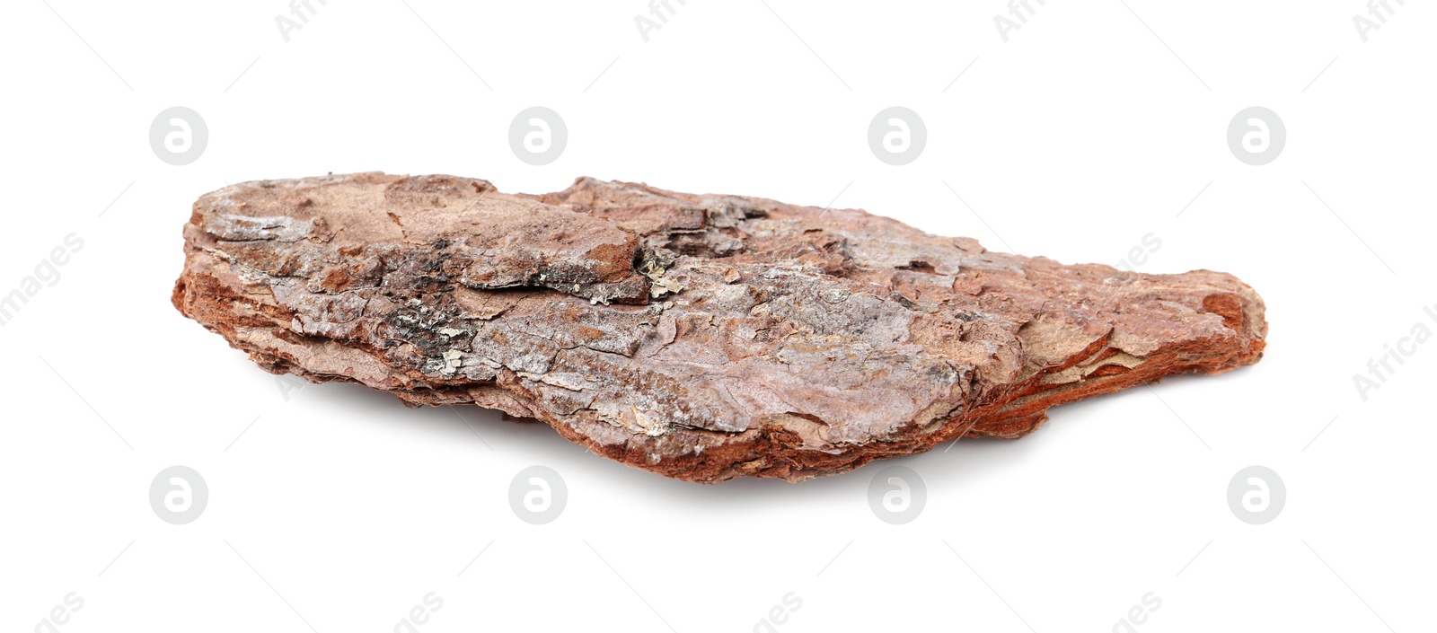 Photo of One piece of tree bark on white background