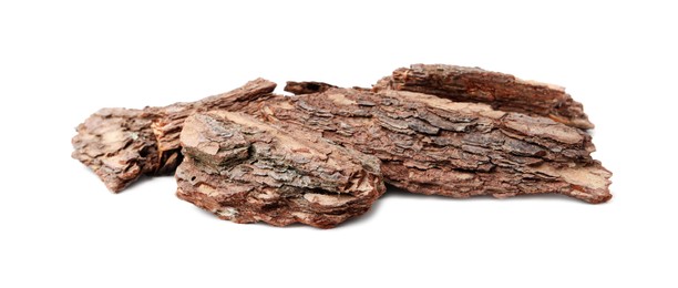 Photo of Pieces of tree bark on white background