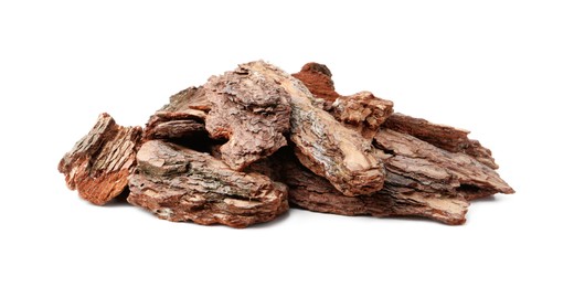 Photo of Pieces of tree bark on white background