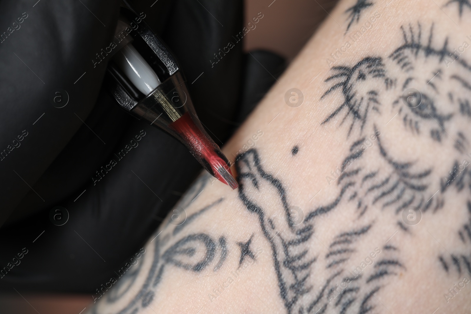 Photo of Artist in glove tattooing woman with machine, macro view