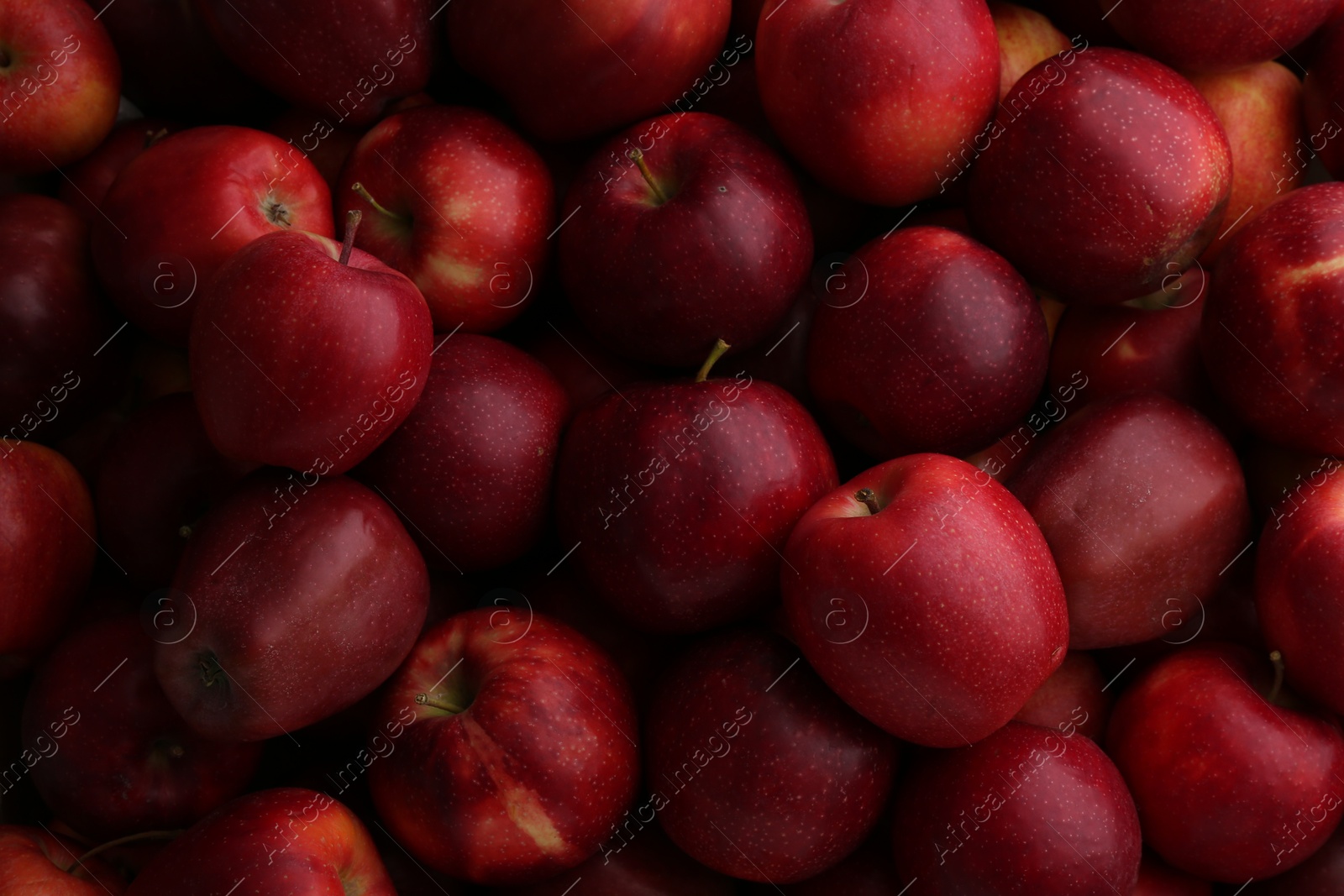 Photo of Fresh ripe red apples as background, top view