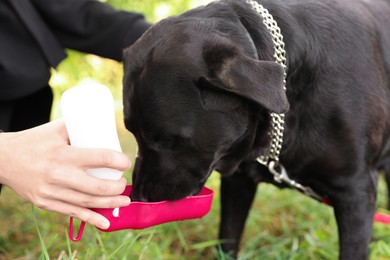 Photo of Owner giving water to her cute Labrador Retriever dog outdoors, closeup