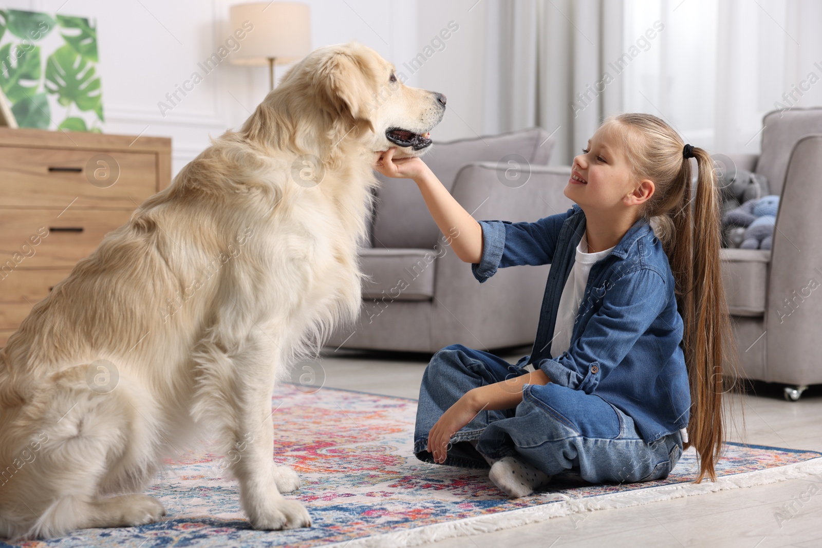 Photo of Girl with her cute Golden Retriever dog on rug at home