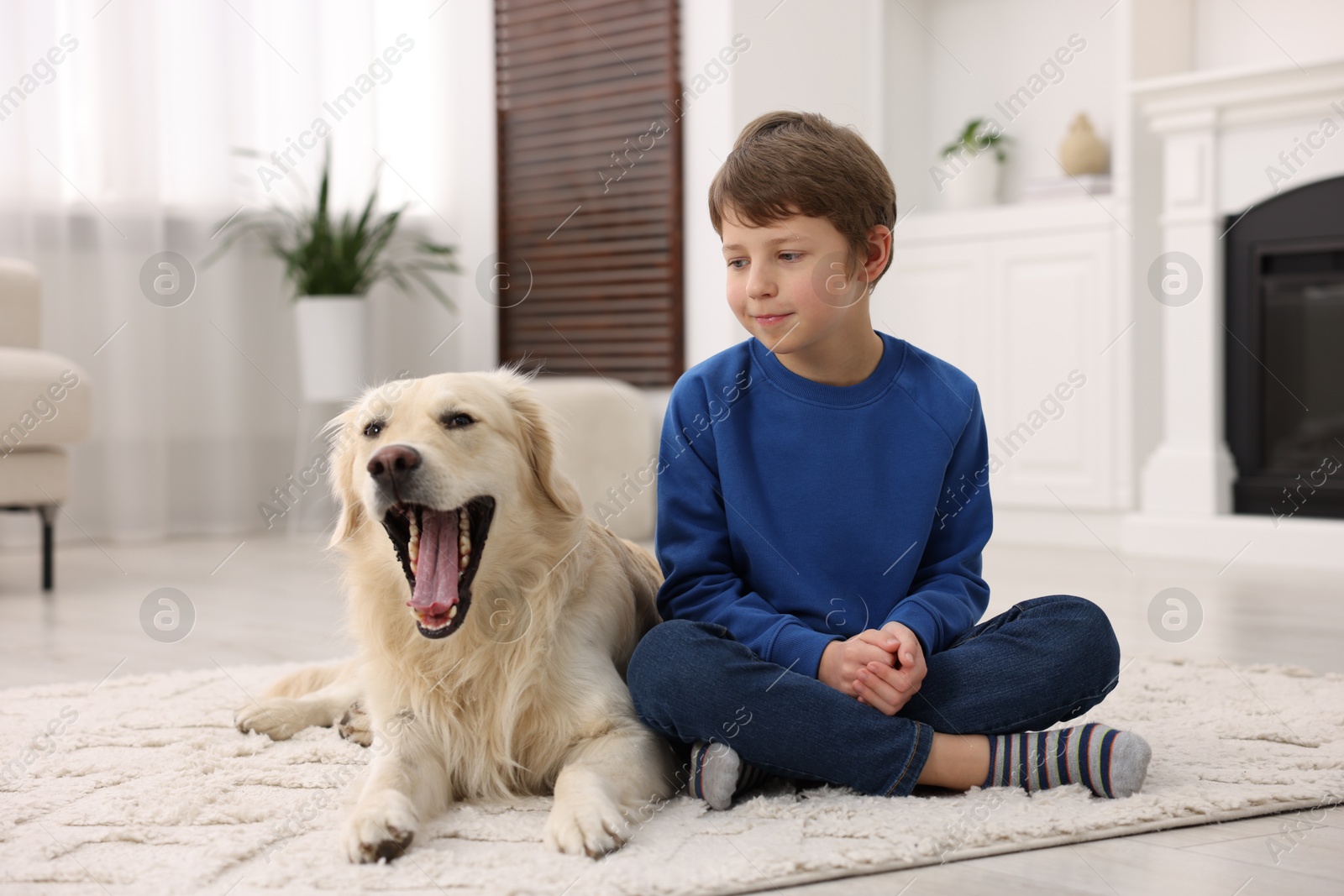 Photo of Boy with his cute dog at home