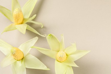 Photo of Many fresh ripe corncobs with husks on beige background, top view. Space for text