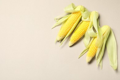 Photo of Many fresh ripe corncobs with husks on beige background, top view. Space for text