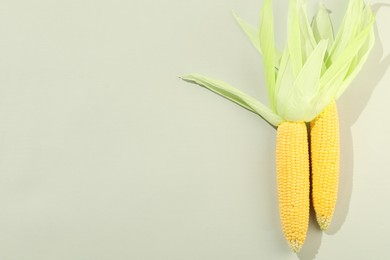 Photo of Fresh ripe corncob with green husks on light grey background, top view. Space for text