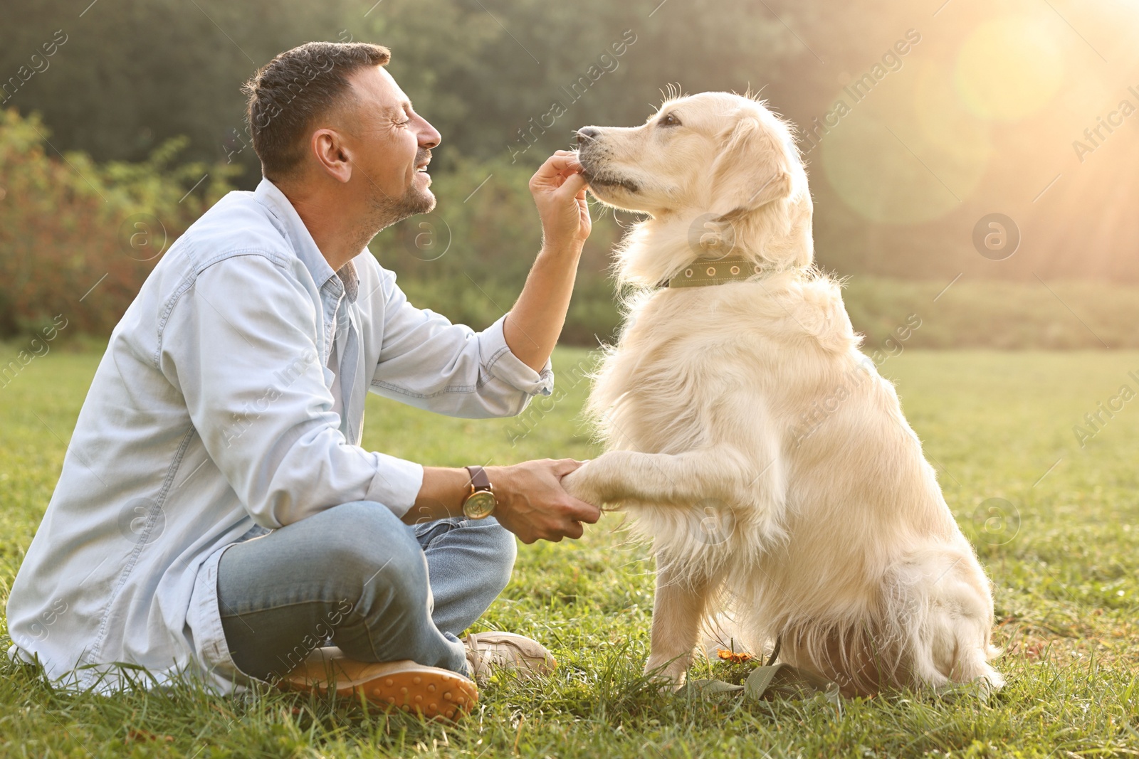 Photo of Smiling man with cute Golden Retriever dog on spring day