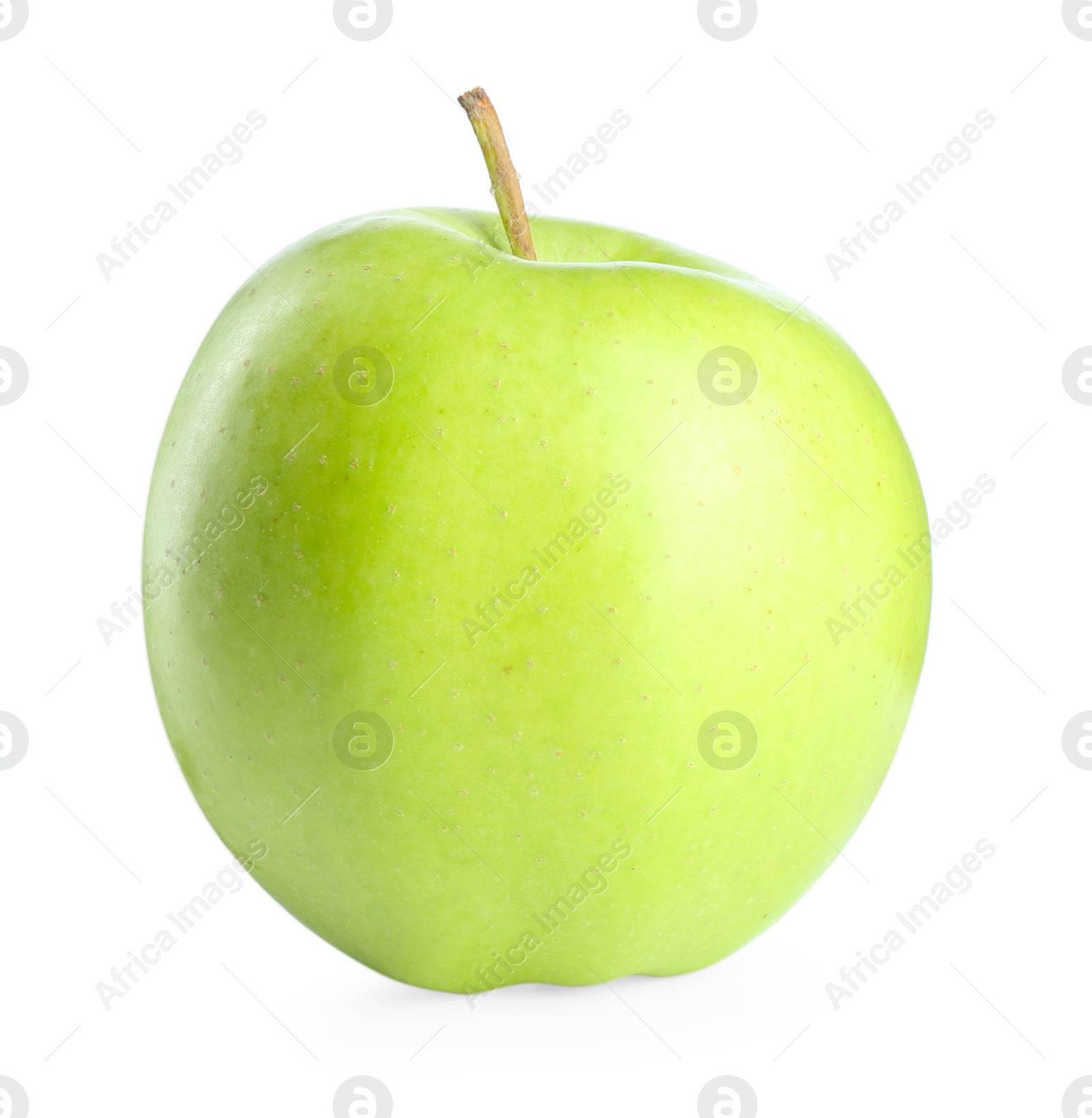 Photo of One ripe green apple isolated on white