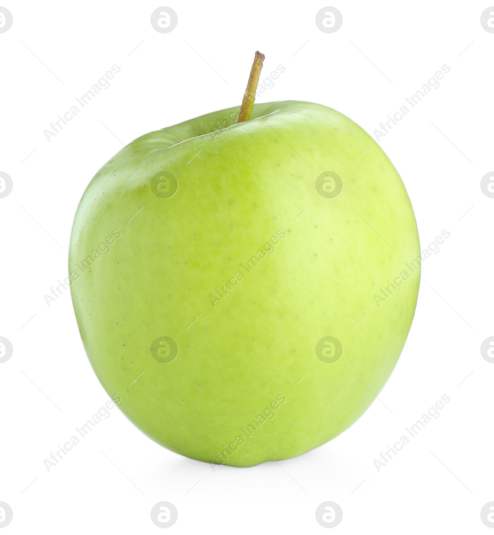 Photo of One ripe green apple isolated on white