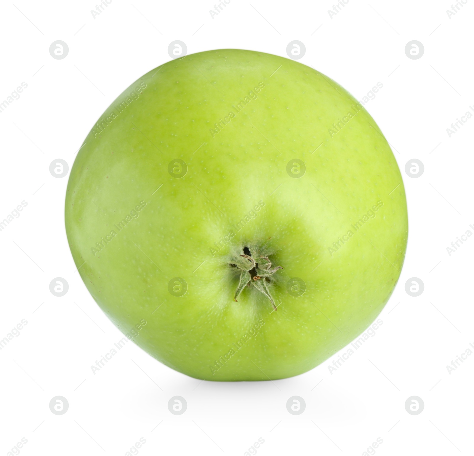 Photo of One ripe green apple isolated on white