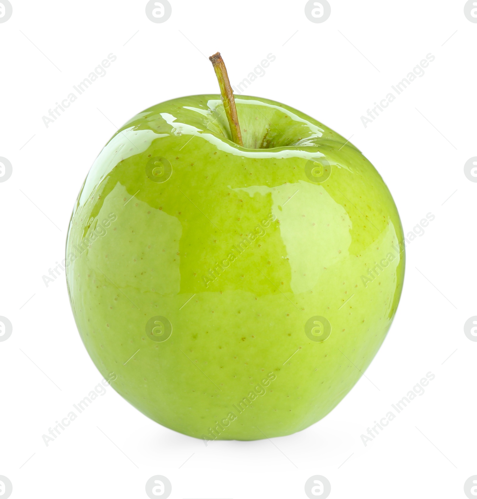 Photo of One ripe green apple isolated on white