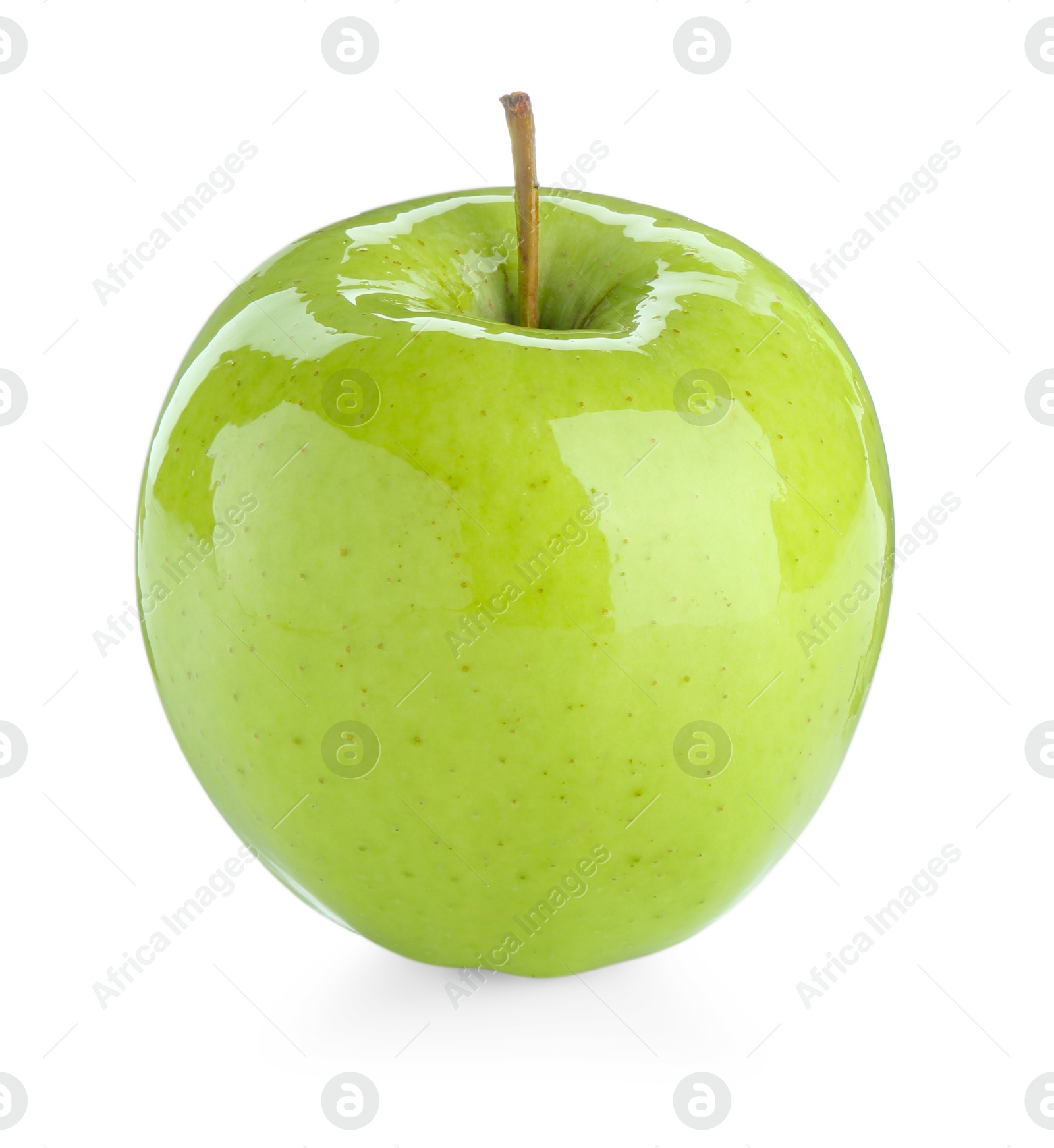 Photo of One ripe green apple isolated on white