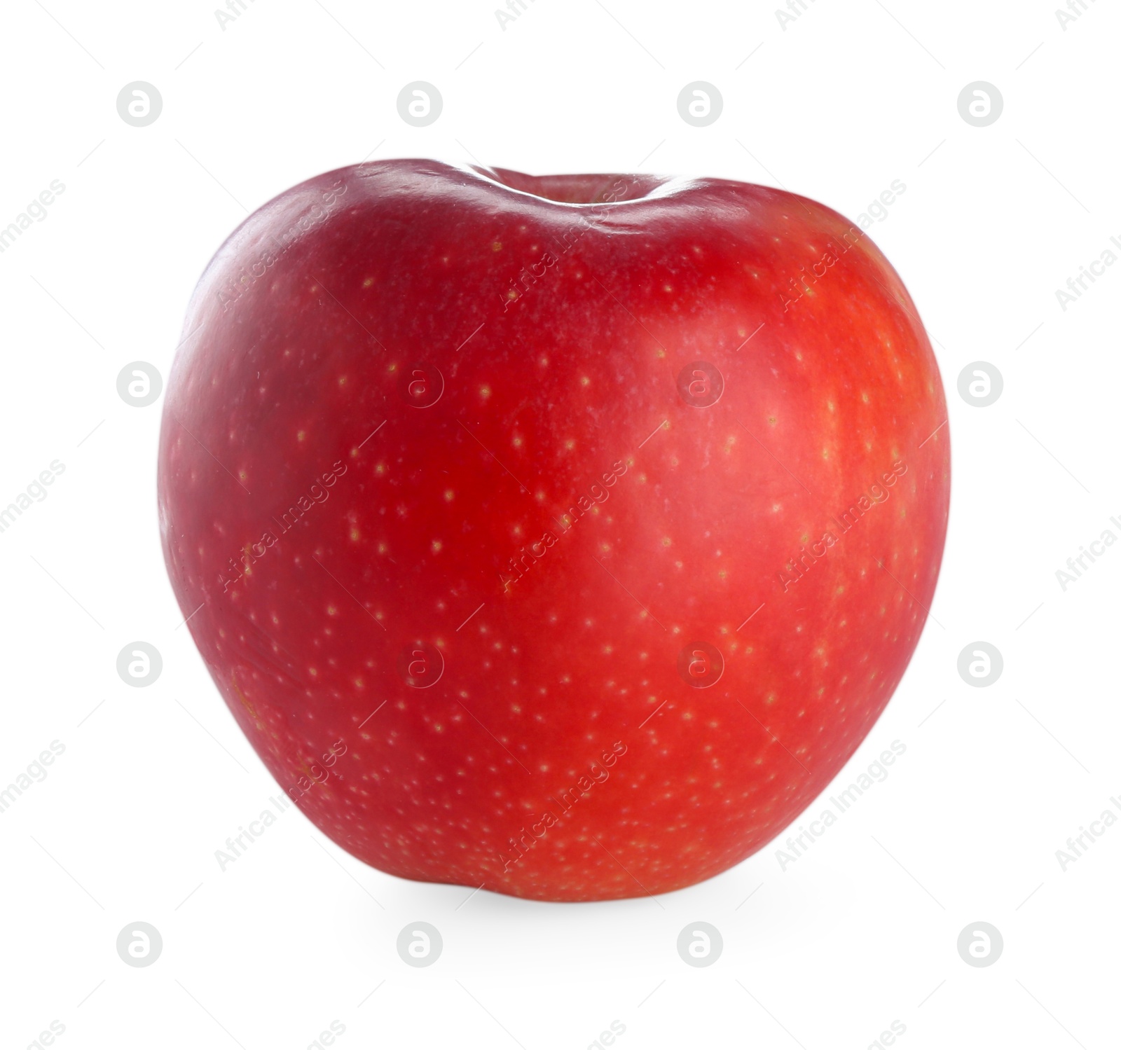 Photo of One fresh red apple isolated on white