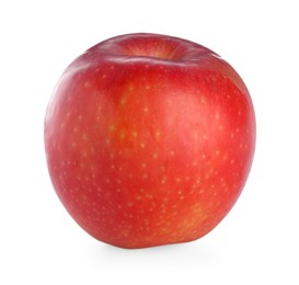 Photo of One fresh red apple isolated on white