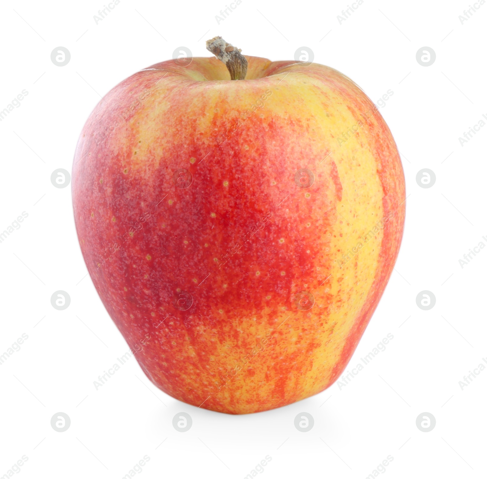 Photo of One fresh red apple isolated on white