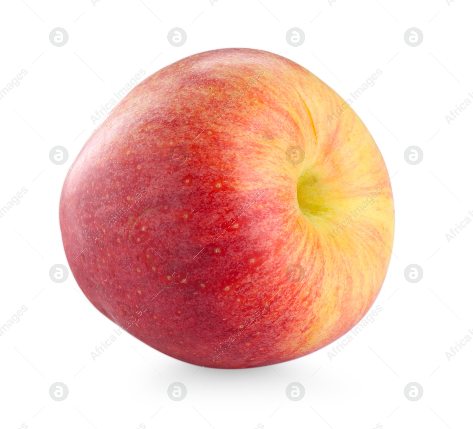 Photo of One fresh red apple isolated on white