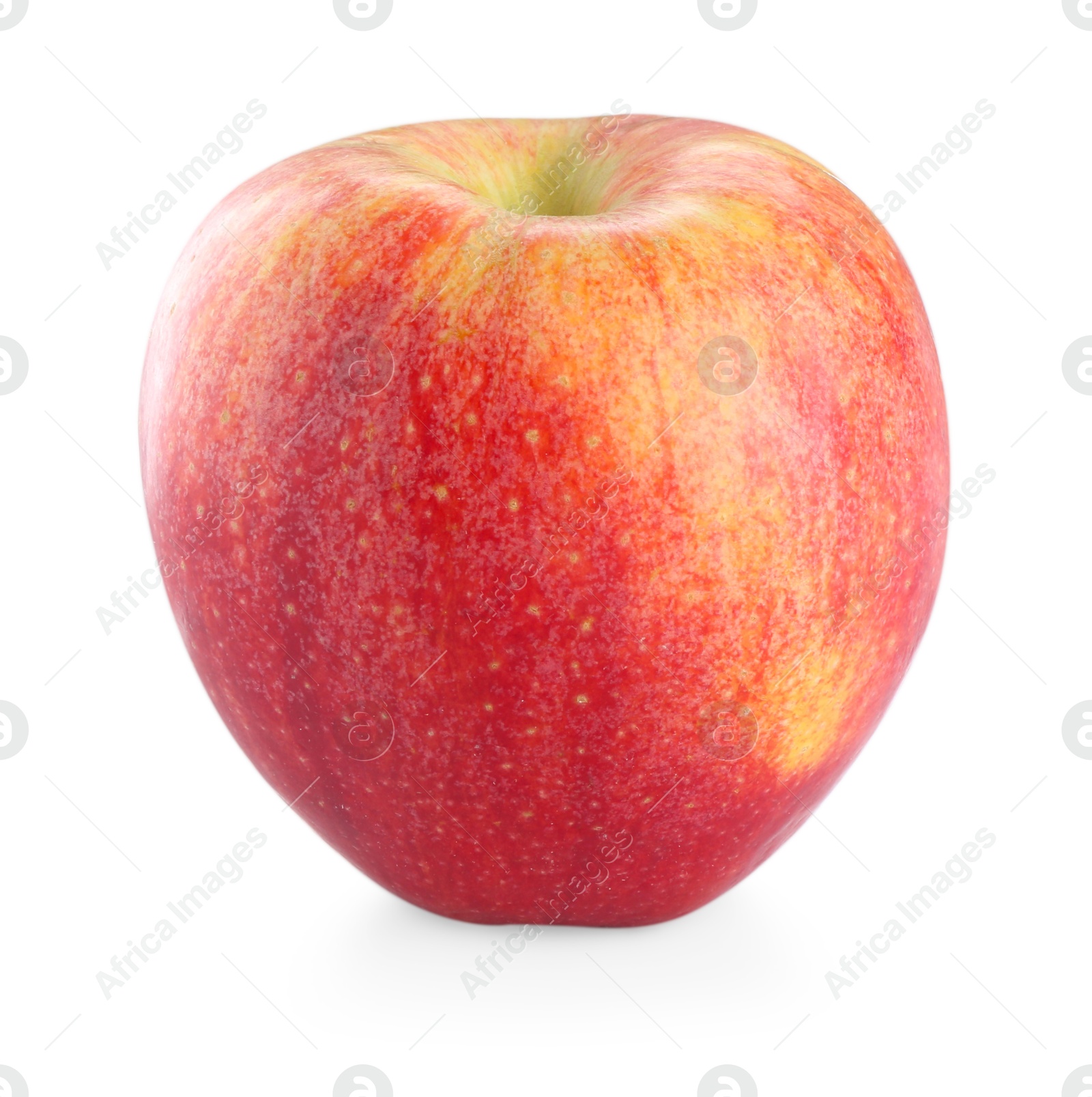 Photo of One fresh red apple isolated on white