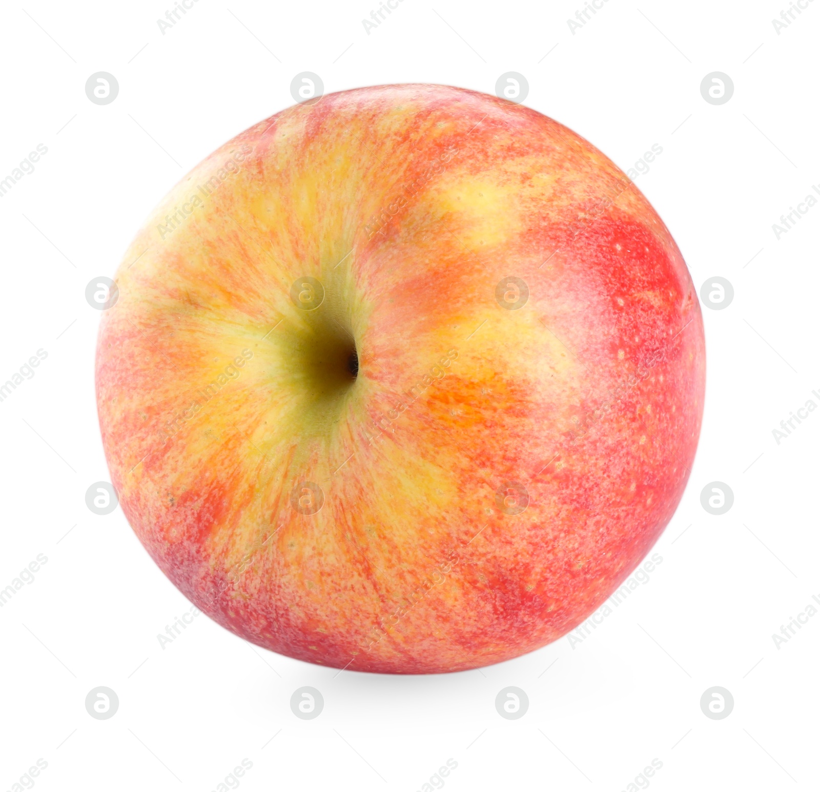 Photo of One fresh red apple isolated on white