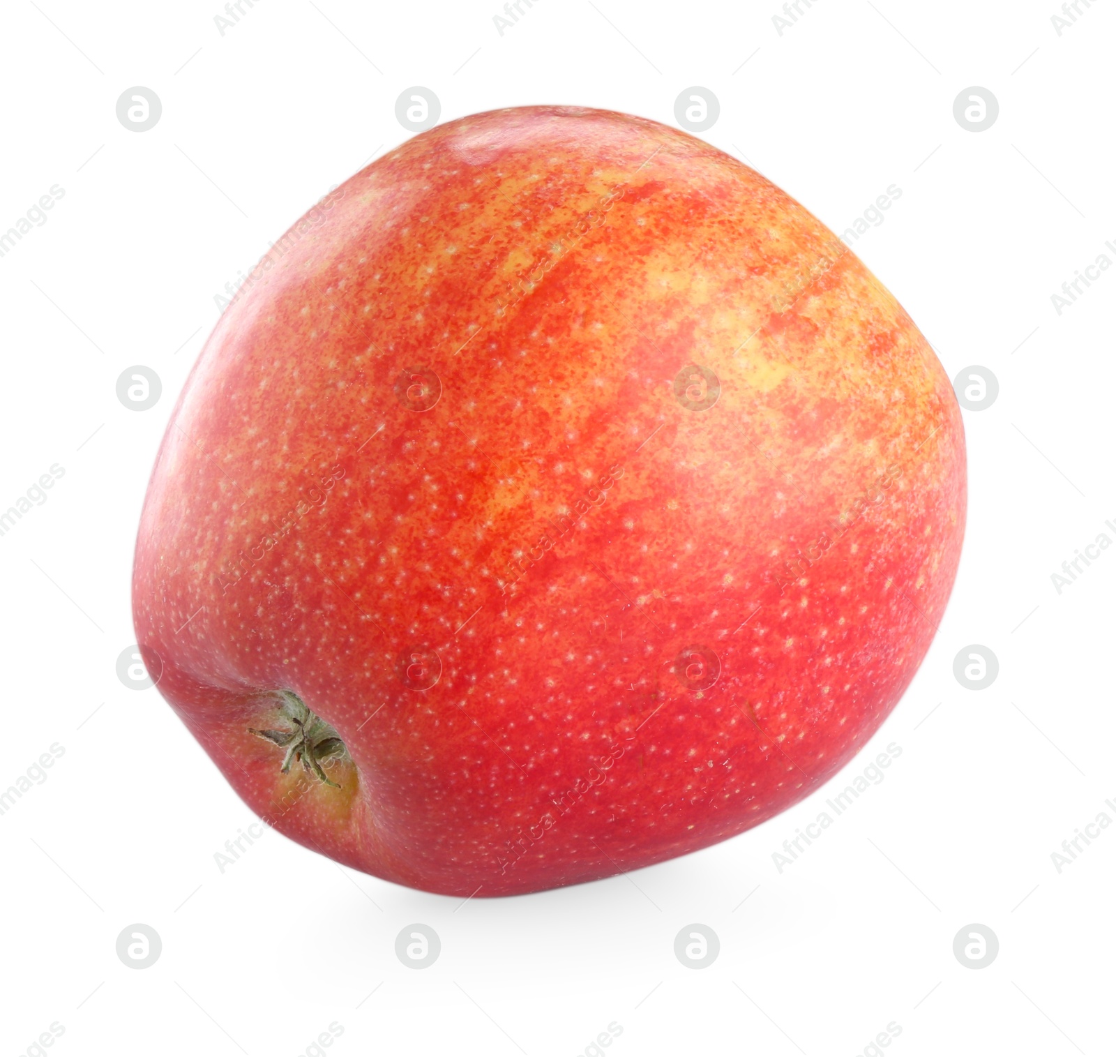 Photo of One fresh red apple isolated on white