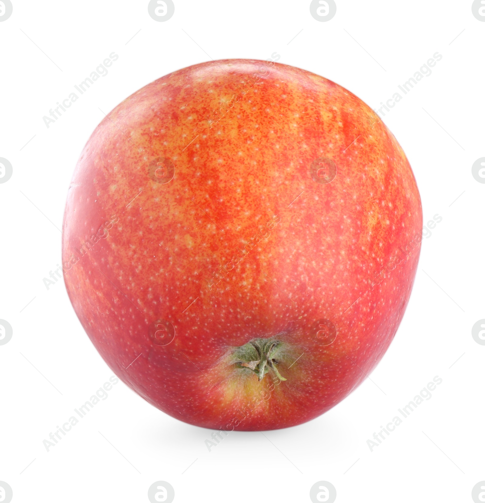 Photo of One fresh red apple isolated on white